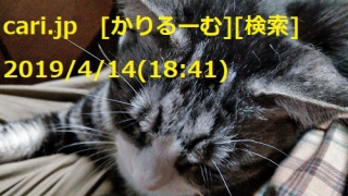2019/04/14(18:41)Lʐ^@cari.jp