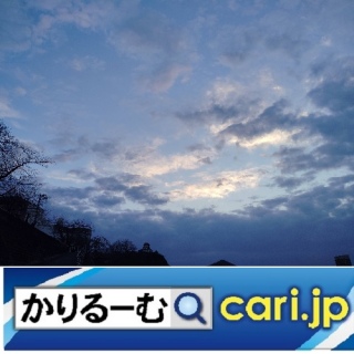 �w�q��F�����q���x�a���ց@���{�̉F���r�W�l�X����������I