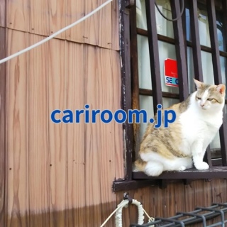 �_����O�ɔ�����I�Ԃ̓���h�~�O�b�Y���h�Ƒ΍�